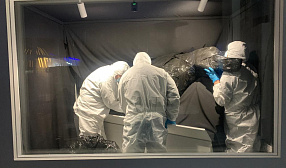 «Селигдар» и СВФУ на ВЭФ-2025 представит самого древнего мамонтенка