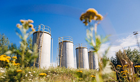ВСМПО-АВИСМА успешно прошла международный аудит системы экологического менеджмента